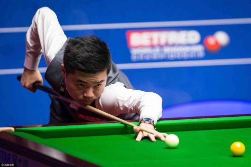 这支年轻的 这支年轻的