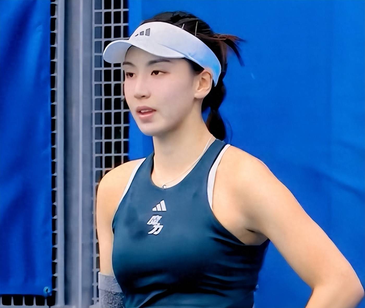 非不可逆转 非不可逆转